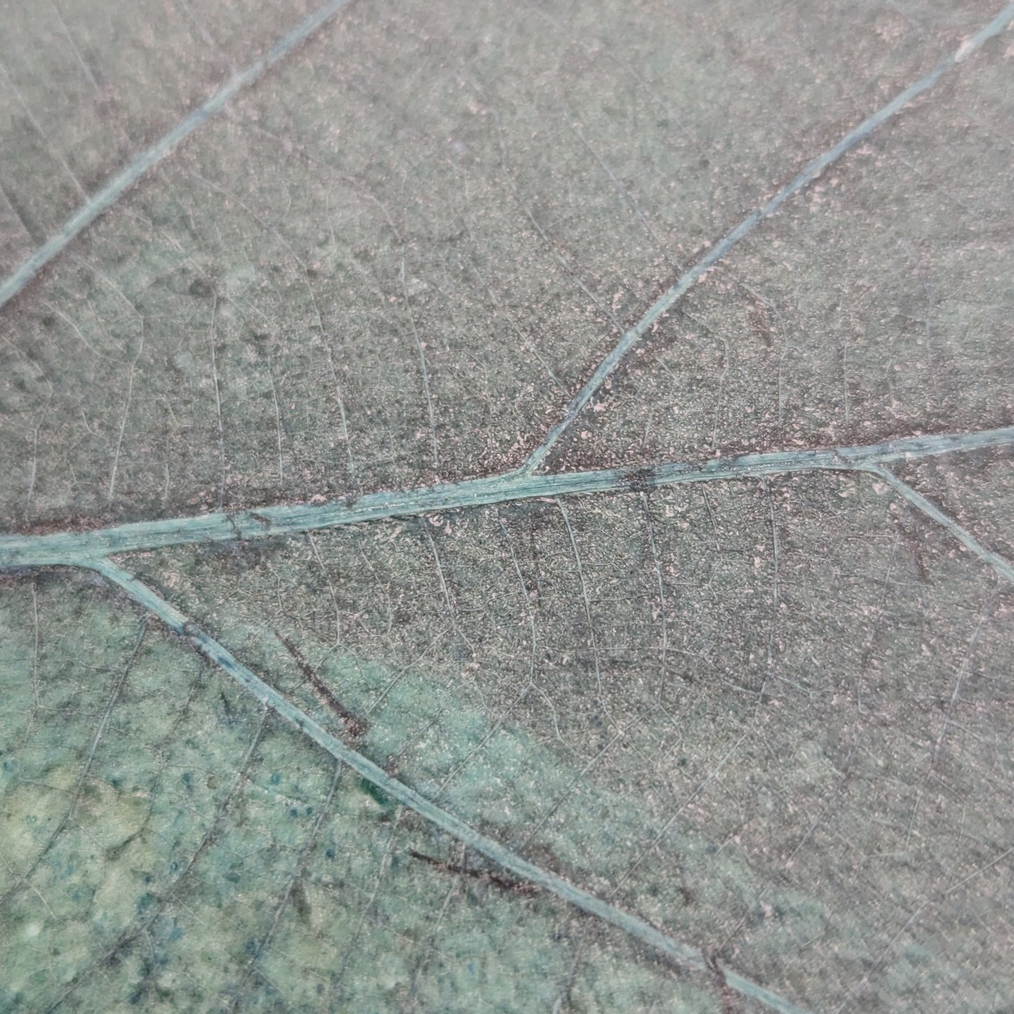 Mr.Leaf チークリーフレザー 長財布（エメラルドグリーン）